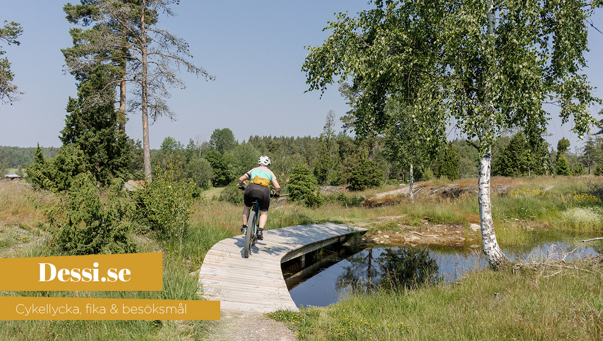 dessi.se